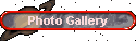 Photo Gallery